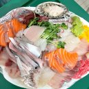 노량진 수산시장 회 포장 강경상회 추천 후기