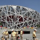 stadium of dogs 이미지