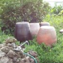 강정동-25 이미지