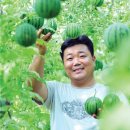 박인규농장 이미지