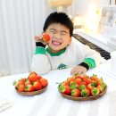 단북애청년 이미지