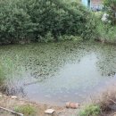 정자리농장 이미지