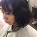 해뜨는숲 네이버블로그