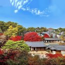 화천상회 | 내 맘대로 국내 여행 명소 정하기- 사진 컬렉션 모음(스압주의+설명첨부)