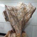 중원대학교박물관 이미지