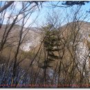 고개로주유소 이미지