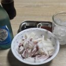 뉴피닉스호
