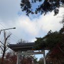 태극태권도장 | 막둥이의 태권도 3품 국기원 승품심사 후기, 5년의 결실