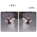 메이저피트니스 이미지