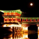 경주 Daum카페