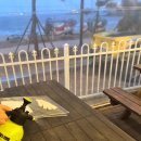 엘림비치 킹스테이 이미지