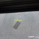 윤진테크 이미지