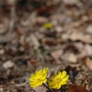 생태공원 이미지