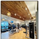 오로필라테스 | 당산pt 오로짐 여성전용PT & 헬스 & 필라테스