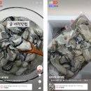푸드펫 이미지