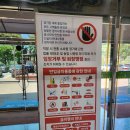 청도 가볼만한곳, 가족과 다녀온 청도소싸움경기장 후기