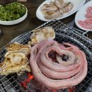 또또꼼장어 이미지