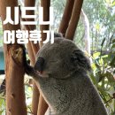 은하수공원 화장실 | 2026년 1월 호주 여행기 <블루마운틴 선셋 &amp; 별 보기 투어 후기- 페더데일 동물원부터 은하수까지🐨🌌>