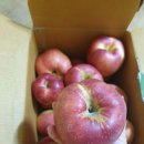 주영농장 이미지