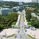 울산대학교 노컷뉴스
