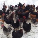 순철농장 이미지