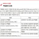 아자시티딘(Azacitidine) vs 베네토클락스(Venetoclax) 급성골수성 백혈병 치료제 이미지