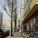 지동 | 대전 둔산동 맛집 돈까스 맛있는 갓지동 점심 방문 후기