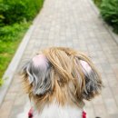 두리동물클리닉 이미지