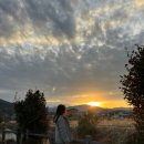 페나 메멘토 | [일본체크인] 일본여행 전 해야할 것 추천 투어추천 이심추천 Esim추천 비짓재팬