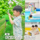 형선농장 | 경기도 농장체험 안성 아리따운열매 포도농원, 실내놀이터 물놀이장까지