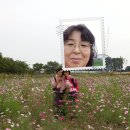 숙자언니