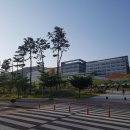 대구경북과학기술원 이미지