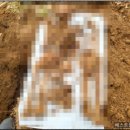 마산 봉안당 이미지