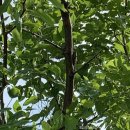 사천포차민박 | [해남,사천,삼천포,남해]2020여름휴가3편