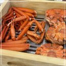 동해애견센터 이미지