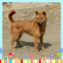 김영진농장 이미지