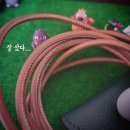 알로하리안 이미지