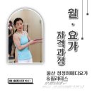 [8주과정]필라테스 요가 이미지