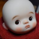 퍼피베이비 이미지