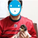 참 조은 훈이네 강아지 이미지