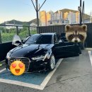 신조세차장 | 내돈내산 김해정비소 엔진오일교체 수입차정비 프라이어오토모빌 중고차점검 후기