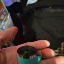 하쿠네 | 2025 하쿠 내한 콘서트 후기