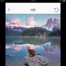 살구PC방 이미지