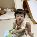 무염농장 이미지