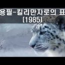 킬리만자로의 표범 나 가거든 겟세마네 대성당들의 시대[교회] 주님도 이런 마음이셨을 거예요.. 지금도 주님은 머리 둘 곳이 없다 이미지