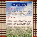 유진막국수 이미지