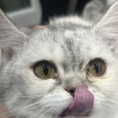 횡성동물병원 이미지