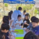 서울개운초등학교 이미지