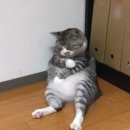 태일오피스텔 | [공지] 1인가구 매거진 홀라 카테고리별 콘텐츠 가이드 한 눈에 보기