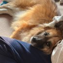 달과육펜스 | 3월 주간일기 - 2 매우 바쁨